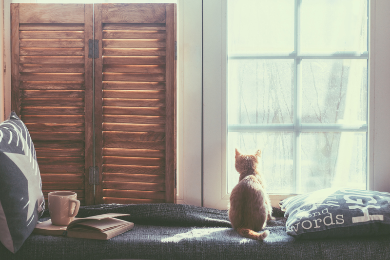 Banish the Mess: Step-by-Step Clutter Removal Solutions