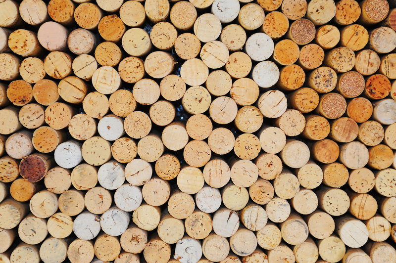 Renewable Energy from Waste: A New Frontier